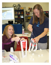 STEM Activities for Early Childhood Educators