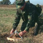 NASA Image of Demining Device