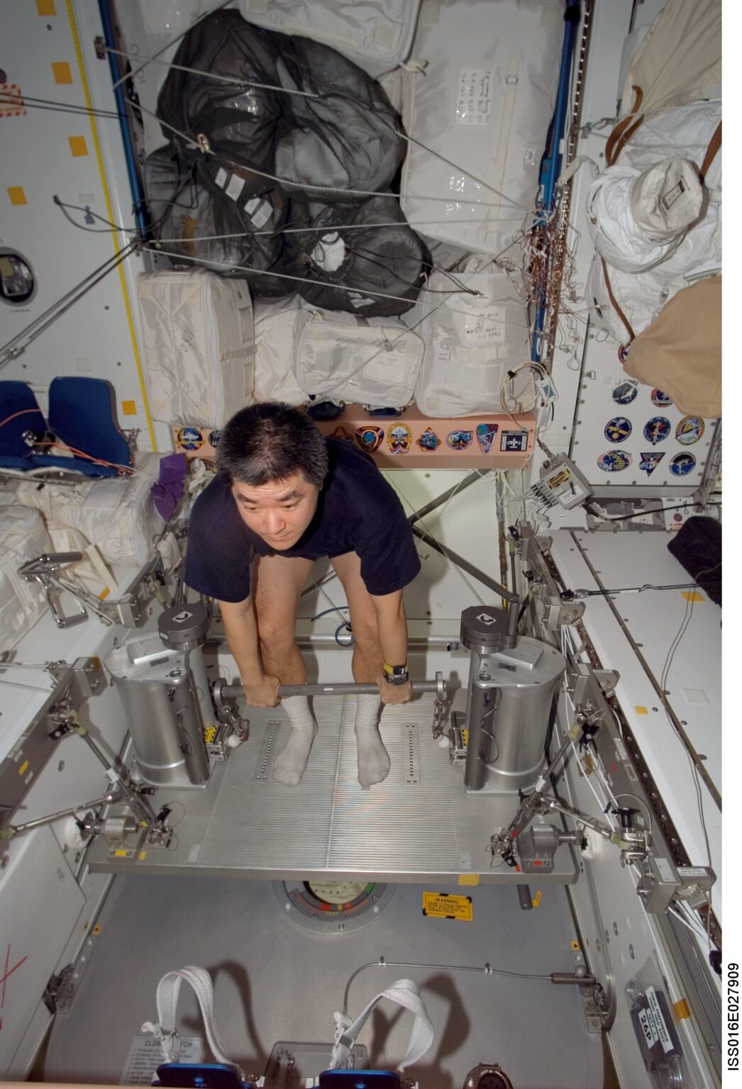 SpiraFlex Interim Resistive Exercise Device (iRED) Space Foundation