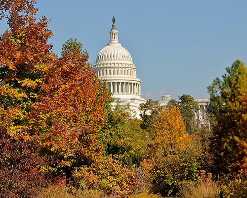 Washington DC in the fall