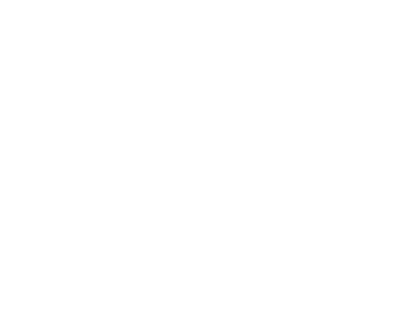 Space Foundation Logo