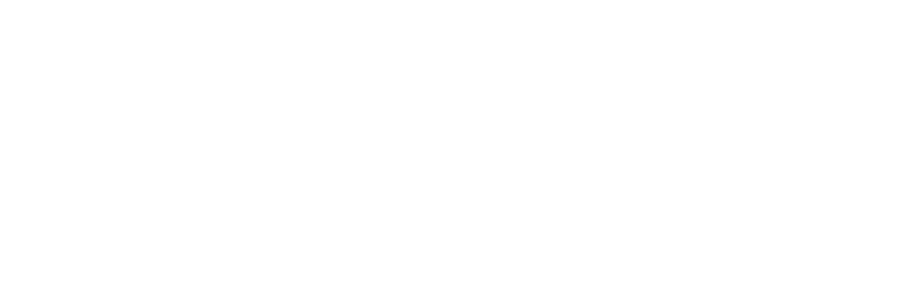 national-space-interns-logo-wht-crop
