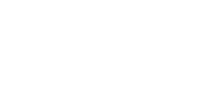 national space dat logo